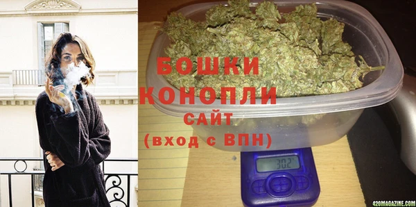 крисы Алзамай
