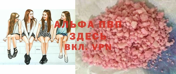 крисы Алзамай