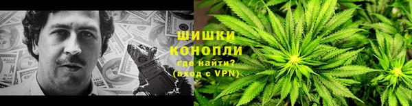 крисы Алзамай